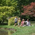 Comano Terme: Terme di Comano SPA Experience Ticket - The Healing Power of Comano’s Mineral-Rich Waters