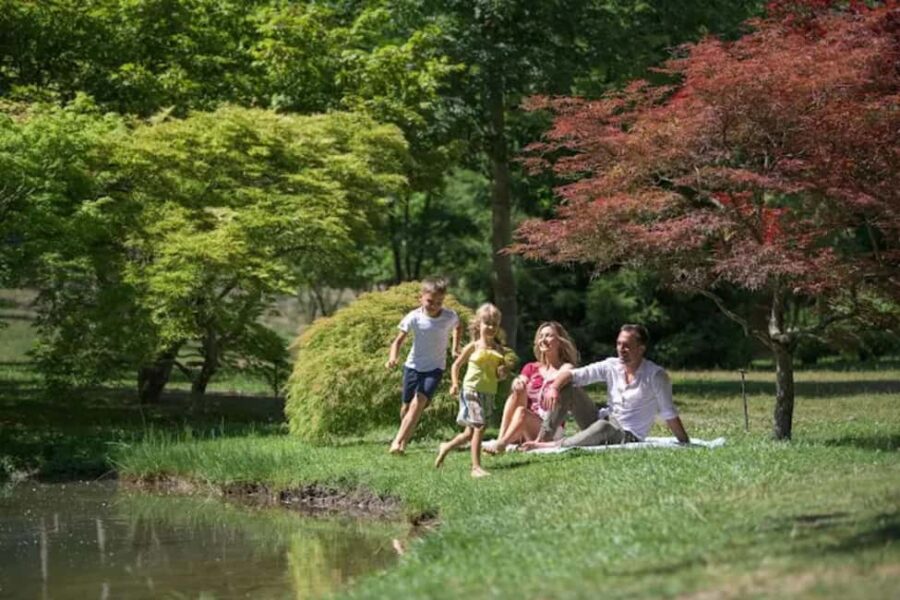 Comano Terme: Terme di Comano SPA Experience Ticket - The Healing Power of Comano’s Mineral-Rich Waters