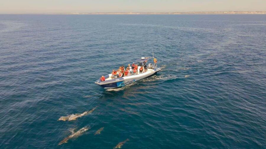 Combo: Benagil & Dolphins Boat Tour w/ Marine Biologists - Visiting the Benagil Cave: Scenic and Accessible