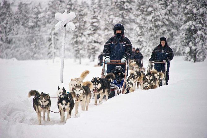 COMBO Private tour HUSKY and REINDEER Park by VIP car with guide - Exploring the Reindeer Farm’s Magic and Scenic Setting