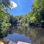 Combo ticket: Ernst Fuchs Museum & Otto Wagner Complex with smartphone guide - Discovering the Otto Wagner Complex and Its Architectural Highlights