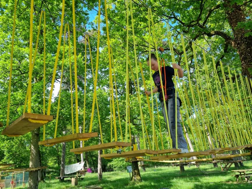 Combreux: tree climbing park - The Ultimate Zip Line Experience Over the Pond