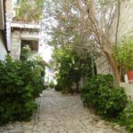 Commandaria zone wine villages: Winery tour with Lunch - Walking Through the Hills of Laneia Village