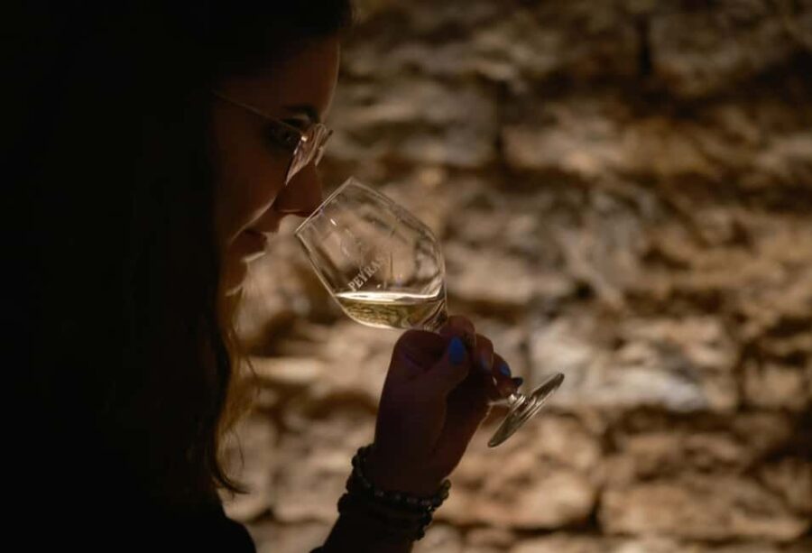 Commanderie de Peyrassol: Guided tour of the wine cellars - Exploring the Historic Cellars of Peyrassol