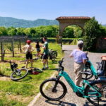 Como: Lake Como and Swiss Vineyards Ebike Tour - Exploring Comos Heritage Villages: Cernobbio and Moltrasio