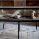 Complete Pompeii Skip the Line Tour with Archaeologist Guide - In-Depth Look at the Tour Stops