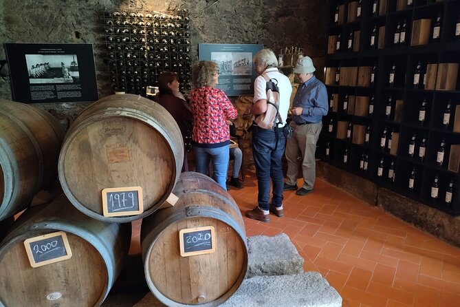 Complete Private Douro Valley Wine Tour - The Exclusive Private Transportation in Comfort and Style