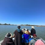 Comporta to Alcacer do Sal boat trip - Navigating the Sado River’s Enchanting Estuary