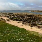 Connemara & Inishturk Island wildlife watching cruise. Private guided Full-day - Starting Point and Departure Time at Cleggan Pier