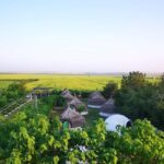 Constana: Ancient Histria Fortress and Local Wine Tasting - Discovering La Colibe: An Eco-Traditional Romanian Village