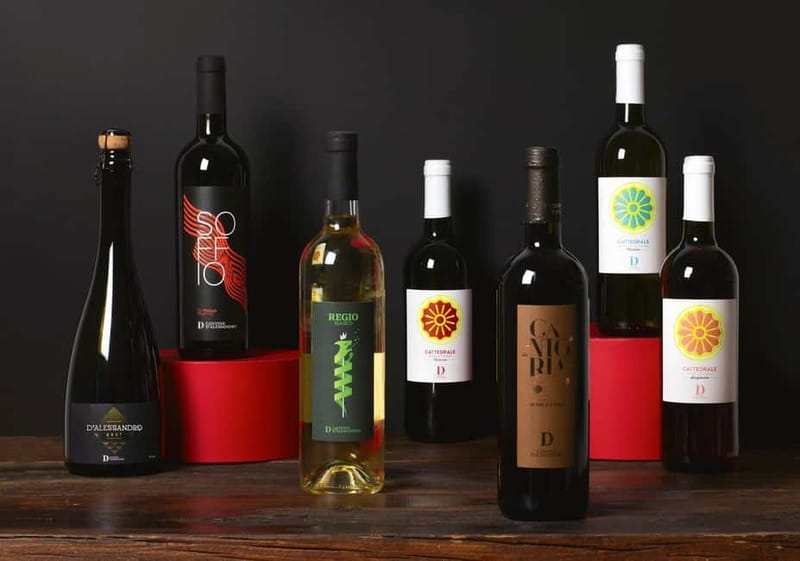 Conversano: wine tasting tour in the winery - Tasting Three Signature Apulian Wines with Food Pairings