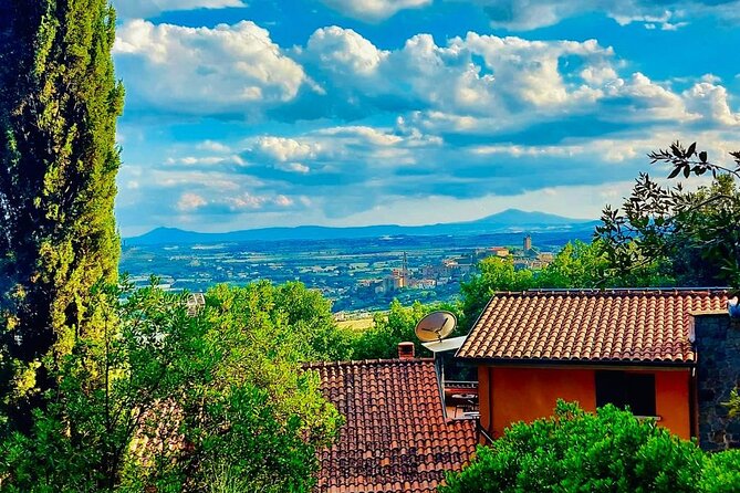 Cooking class Cortona - The Role of Organic Ingredients and Local Produce