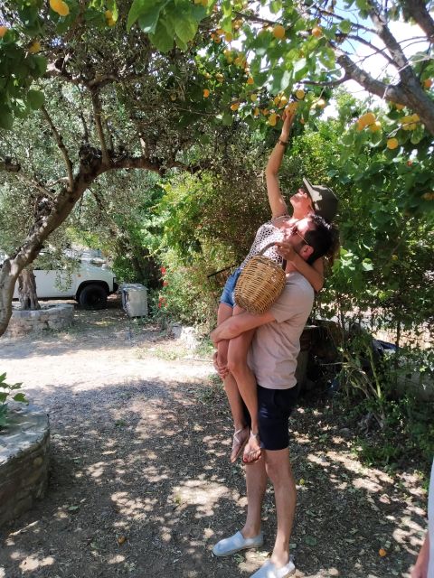 Cooking Lesson in Heraclion by Baxes - Visiting the Farm and Feeding the Animals