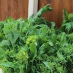 COOKING LESSON IN MASSERIA with transfer from Alberobello - Starting Point and Convenient Transfer from Alberobello