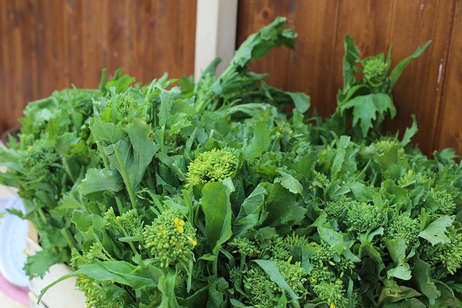 COOKING LESSON IN MASSERIA with transfer from Alberobello - Starting Point and Convenient Transfer from Alberobello