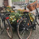 Copenhagen Bicycle Adventure - Navigating Copenhagen’s Most Famous Squares and Monuments