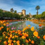Cordoba: Alcazar of Christian Monarchs 1Hour Guided Tour - Marveling at Roman Mosaics and Sarcophagus