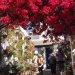 Cordoba Courtyards by Bike, Electric Bike - Starting Point at Calle María Cristina 5
