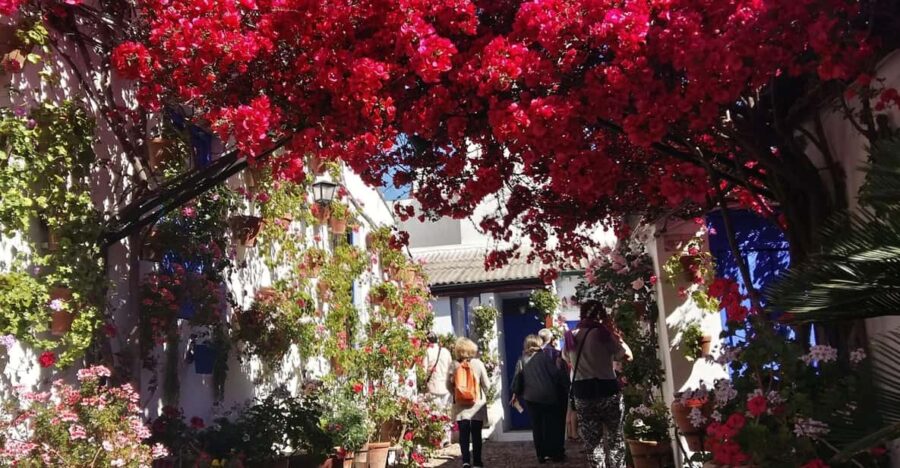 Cordoba Courtyards by Bike, Electric Bike - Starting Point at Calle María Cristina 5