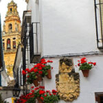Cordoba Guided Day Trip from Seville - Starting Point and Duration of the Tour