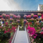Córdoba: Guided Tour of the Patios - Starting at the Iconic Caballerizas Reales