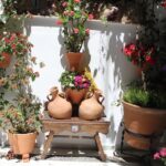 Cordoba Guided Tour with Mosque /Cathedral from Seville - Inside the Cordoba Mosque and Its Architectural Marvels