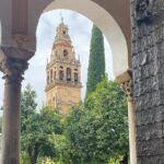 Cordoba Highlights Private Walking Tour - Key Points