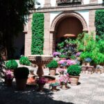 Cordoba: Patios and Viana Palace Tour - The Experience: Pacing, Highlights, and Atmosphere