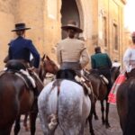 Cordoba Private Daytrip from Sevilla by train - Starting Your Journey at Seville Santa Justa Station