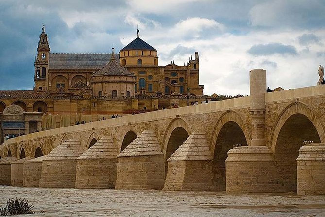 Cordoba private tour from Granada for up to 8 persons including the great Mosque - Departure and Transportation Details in Granada