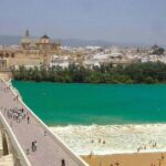 Cordoba private tour from Seville including the great Mosque for up to 8 persons - Discover the Main Attractions of Córdoba