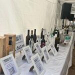 Córdoba: Self-Guided Wine Tasting Experience - The Variety of Wines Offered