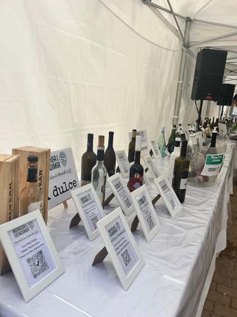 Córdoba: Self-Guided Wine Tasting Experience - The Variety of Wines Offered