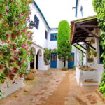 Córdoba: Viana Palace Courtyards Guided Tour - The Gardens and Botanical Variety