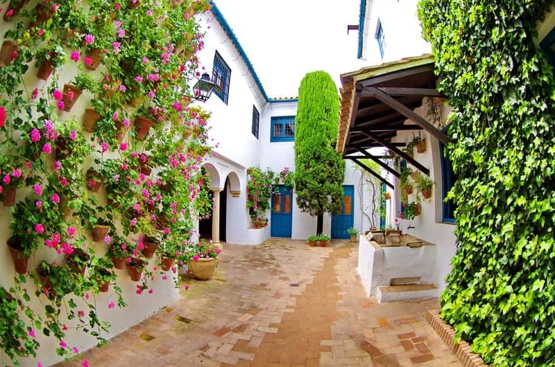 Córdoba: Viana Palace Courtyards Guided Tour - The Gardens and Botanical Variety