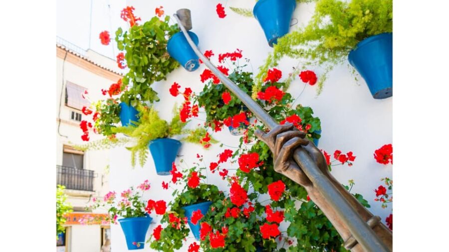 Cordoba's Authentic Patios: 2-Hour Tour with Tickets - Start at the OWAY Tours Office in Plaza del Triunfo