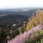 Corfu Countryside Hiking Tour - Exploring Corfu’s Nature: Easy to Moderate Trails and Scenic Views