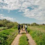 Corfu: E-Bike Tour with Olive Oil Tasting - The Start Point and Route in Southern Corfu