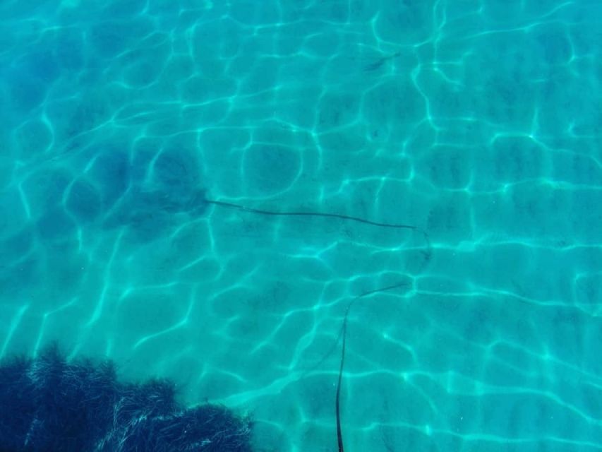 Corfu: Private Sailing Yacht Cruise - Visiting Garitsa Bay and the Luxury Yachts Scene