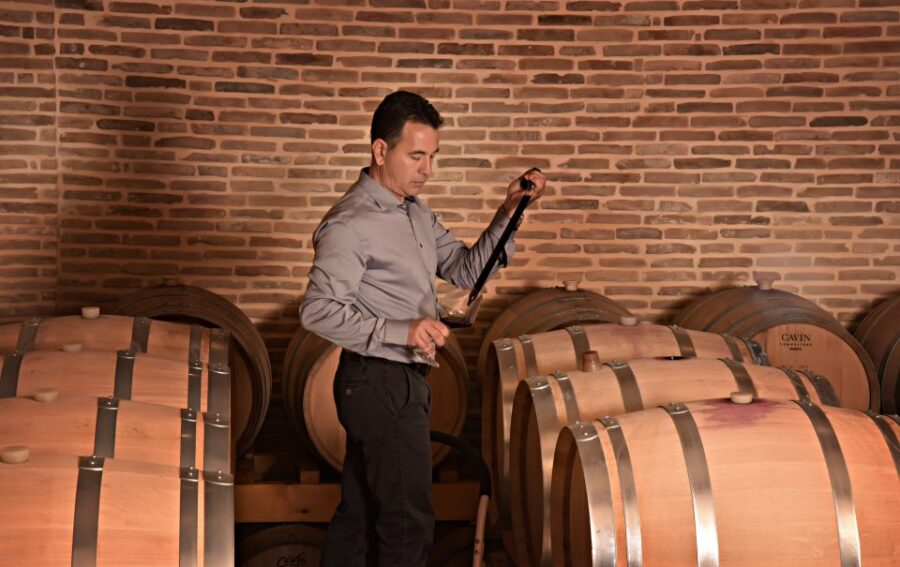 Corinth: Winery Tour and Organic Fine Wine Tastings - Tour of the Winery and Cellar with the Winemaker