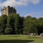 Cork and Blarney Castle Visit from Cobh by Train - Guided Transfer to Blarney Castle and Gardens