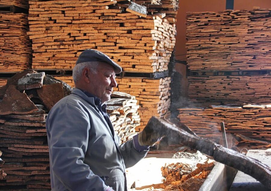 Cork Factory Tour - Visiting the Traditional Cork Factory in Algarve
