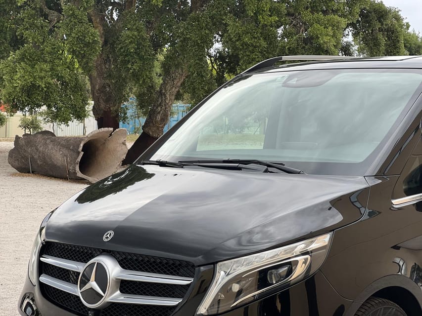 Cork Factory, Wine Tasting & Évora Visit - Tasting Some of the Best Wines in the Alentejo Region