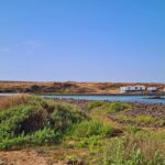 Corralejo: E-Bike Rental with Map to Popcorn Beach - The Route to Popcorn Beach and Majanicho