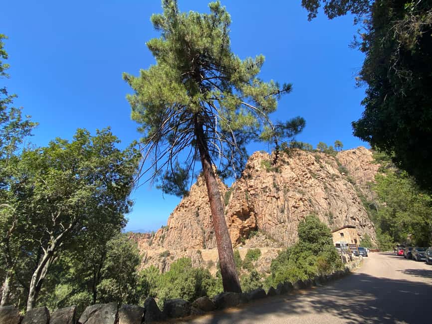 Corsica: Piana Day Trip by Minibus from Bastia - Optional Boat Tour in the Gulf of Porto – A Coastal Perspective