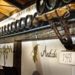 Corte Ansaloni Vinegar Cellar: Guided Tour and Tasting - Guided Tour Highlights and What You Will Learn