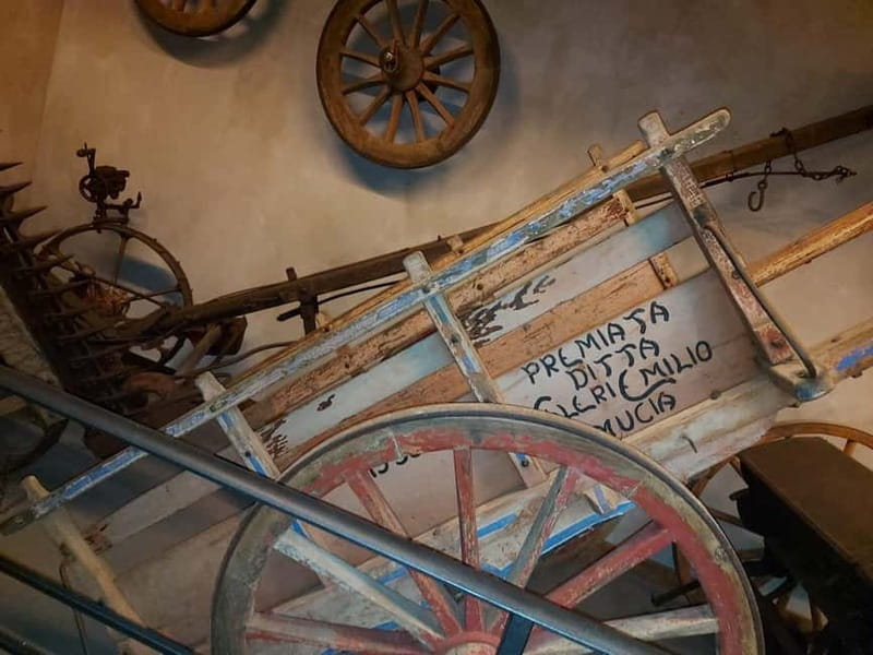 Cortona: Journey Through Time - Inside the "Il museo ai borghi": Artifacts and Cultural Displays