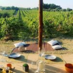 Cortona: Organic wines tasting at Colle Acacia's vineyards - Flexibility and Additional Tastings