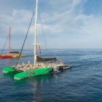 Costa Adeje: Masca and Los Gigantes Whale Watching Cruise - What the Itinerary Looks Like