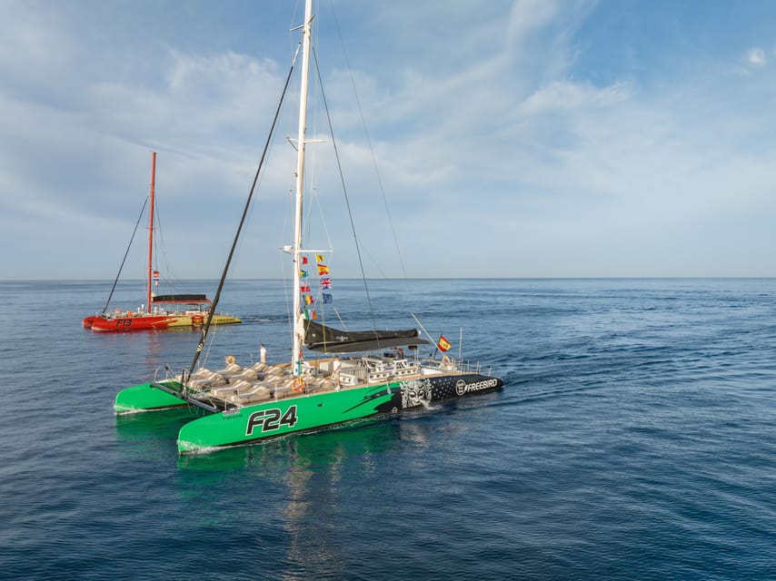 Costa Adeje: Masca and Los Gigantes Whale Watching Cruise - What the Itinerary Looks Like